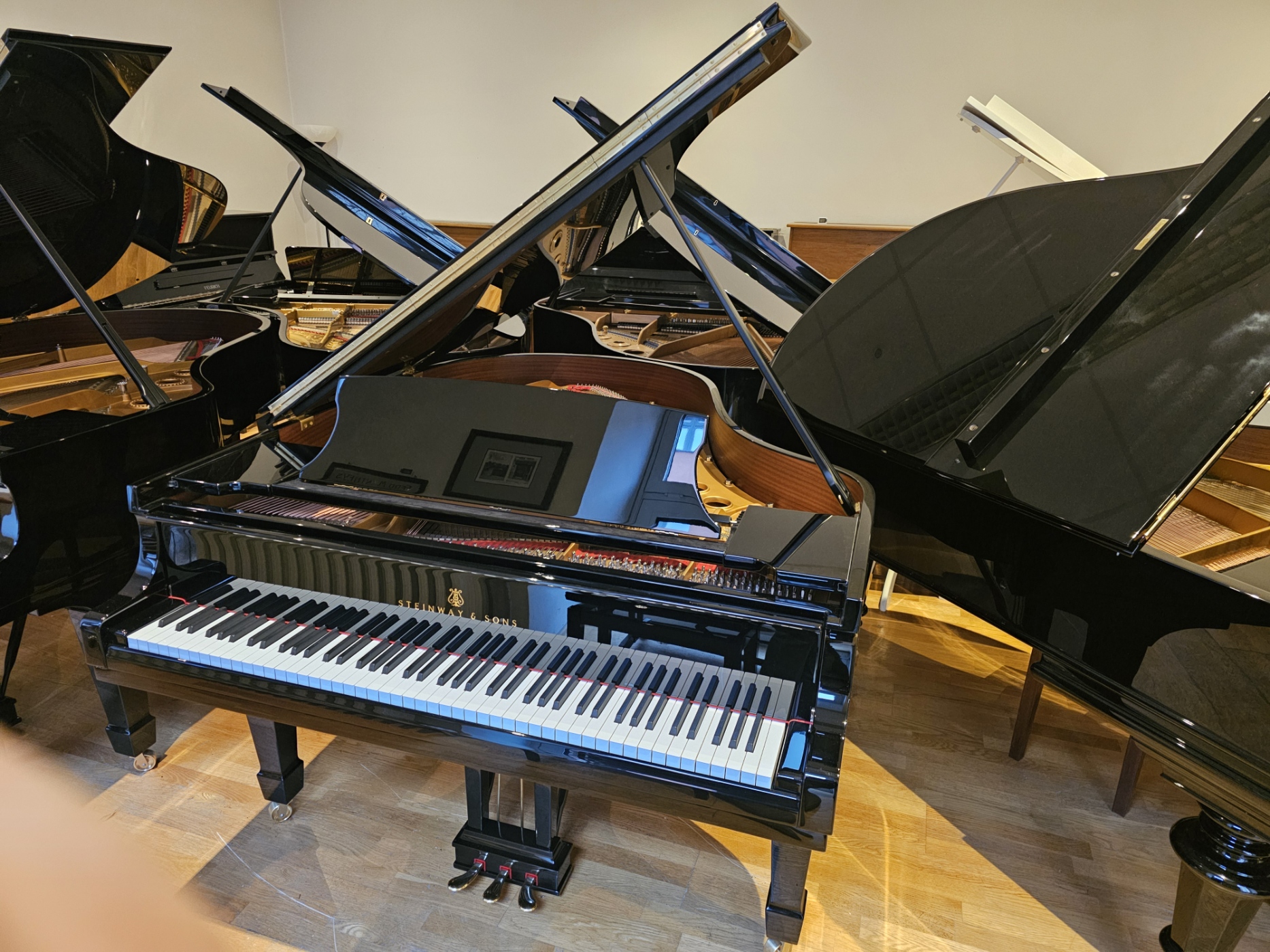 Steinway Flügel Modell M -170